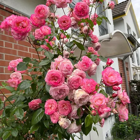 בית נופש Storchenblick-no-1