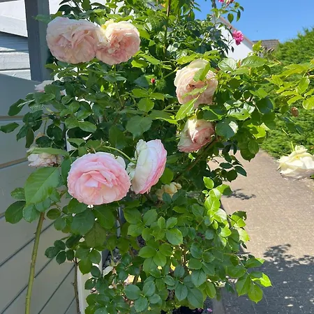 בית נופש Storchenblick-no-1 *